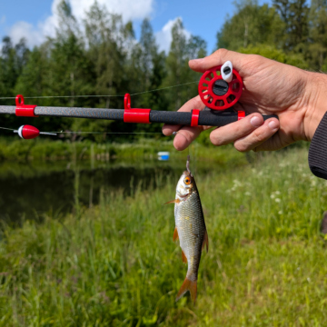Mini Travel Fishing Set with Reel - Green - Image 5