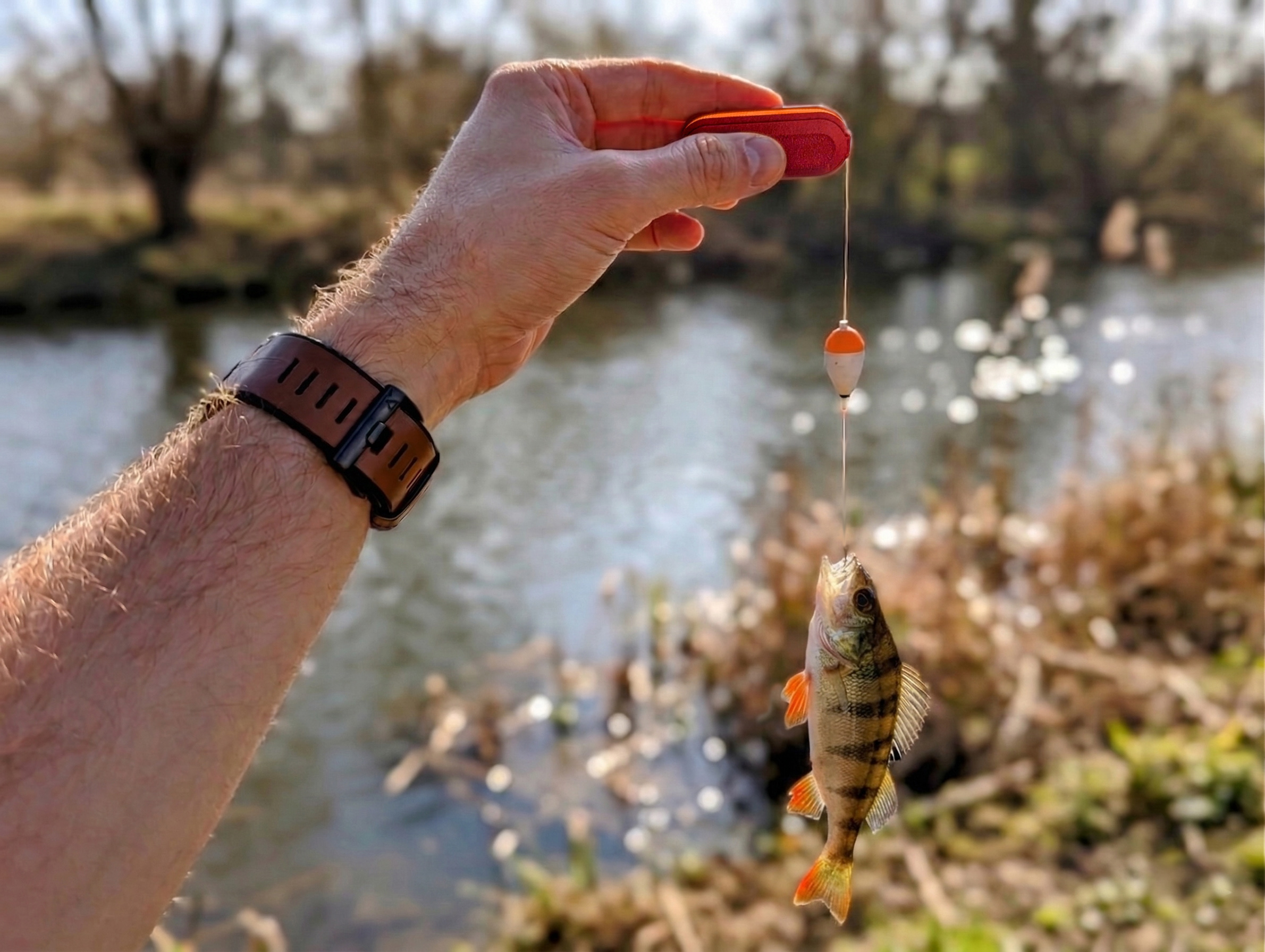 Micro Fishing Set - Image 3